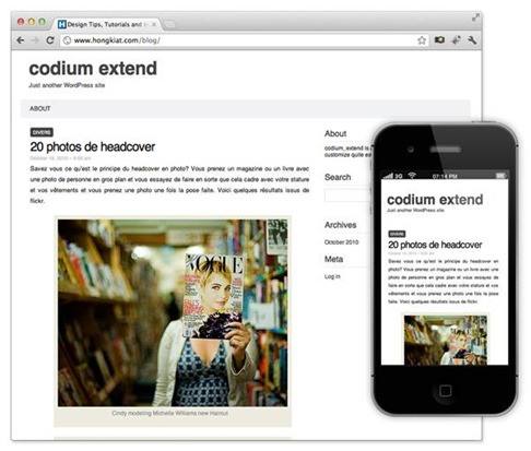 codium-exgtend-theme-responsive-wordpress