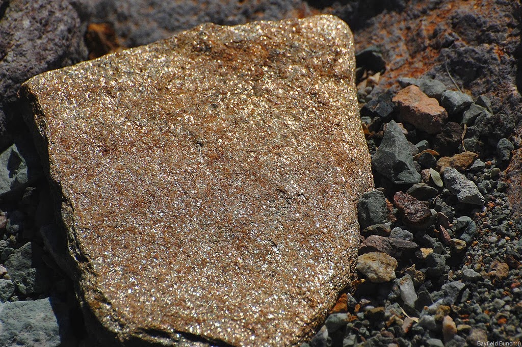 [DSC_0673%255B4%255D.jpg]