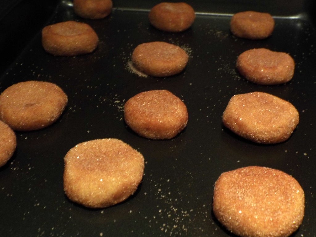 [snickerdoodles%2520before%2520baking%255B3%255D.jpg]