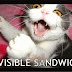 funny dogs and cats videos