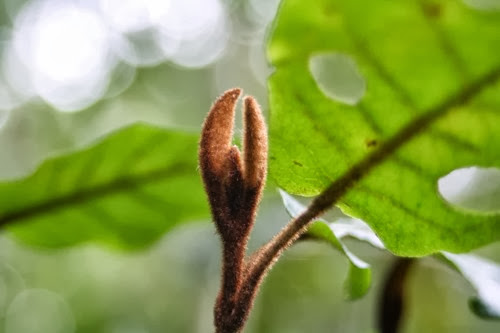 20100301 (6) (Large)