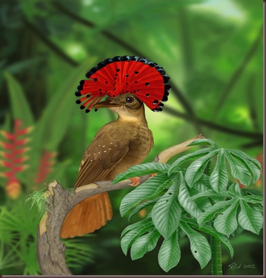 Amazing Animal Pictures Amazonian Royal Flycatcher (11)