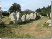 IMG_5155 IMG_5155