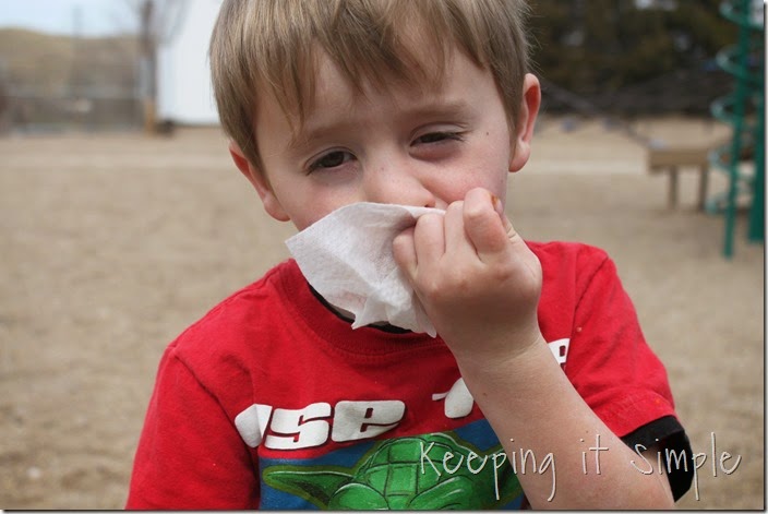 5-great-ways-to-use-wet-nap-wipes-at-a-picnic #showusyourmess (47)