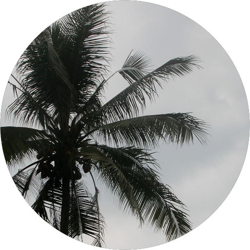 Fista Matondang