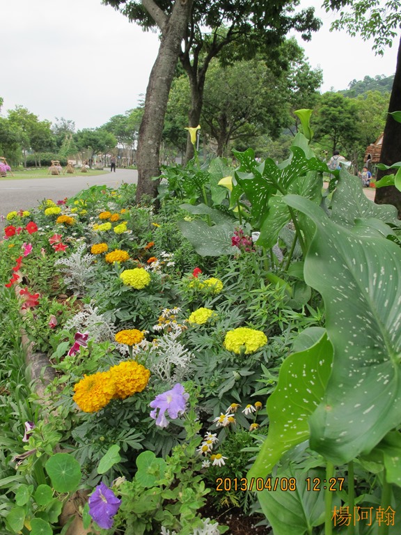 [2013----0585.jpg]