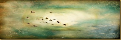1280-freedom-fly-wallpaper