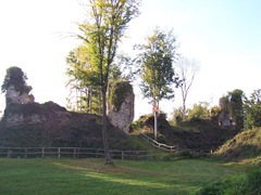 2008.10.17-014 ruines d'un château féodal à Montfort-sur-Risle