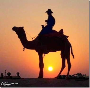 Camel Cowboy