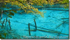 五花海3-九寨沟 Five Flower Lake 3-JiuZhai Valley National Park