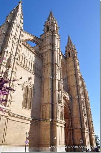 05-Palma de Mallorca. Catedral. Exterior - DSC_0030