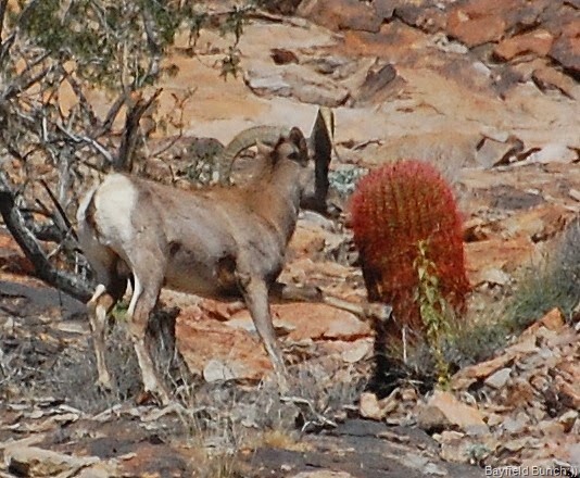 [DSC_0664%255B3%255D.jpg]