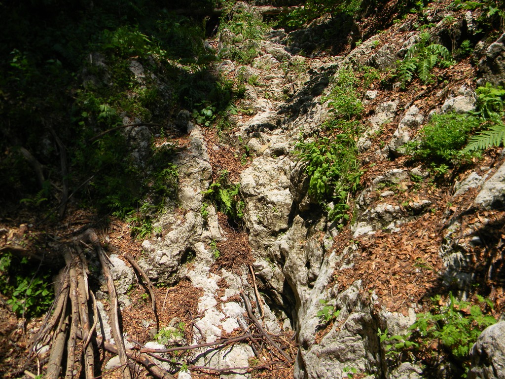[DSCN33143.jpg]