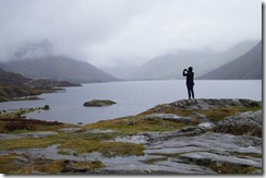 goat wast water figure