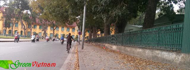 Hà Nội hôm nay ha noi hom nay