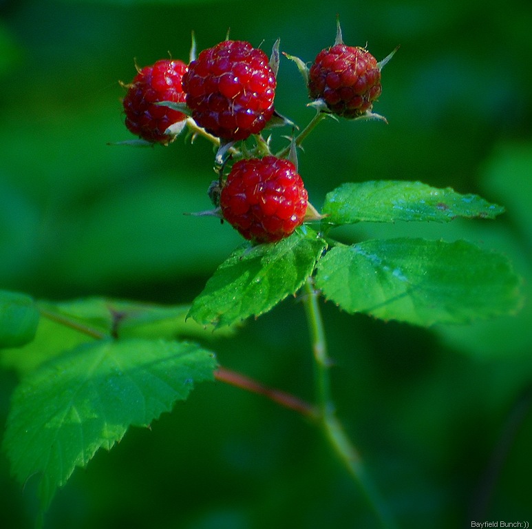 [DSC_7778%255B3%255D.jpg]