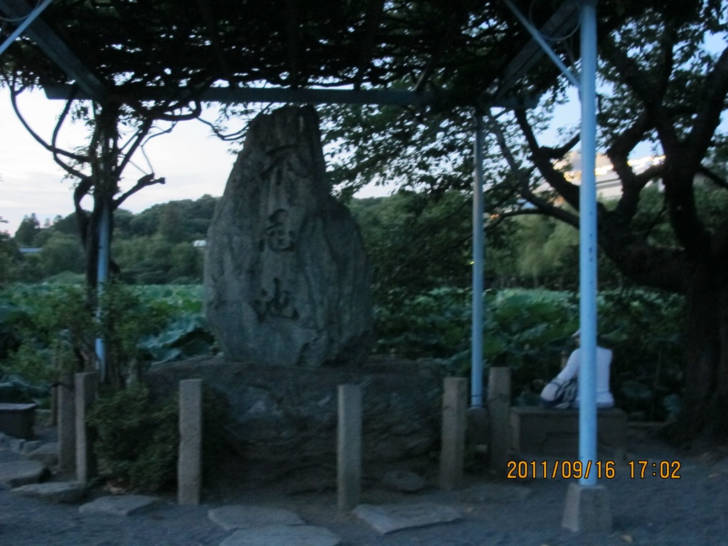 [201119160139.jpg]