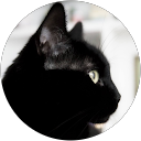 Isidro Esp. profile picture