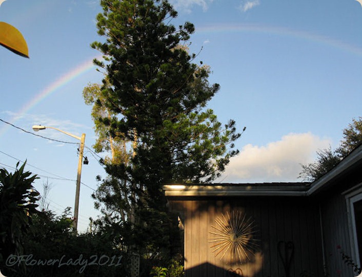 09-28-rainbow8