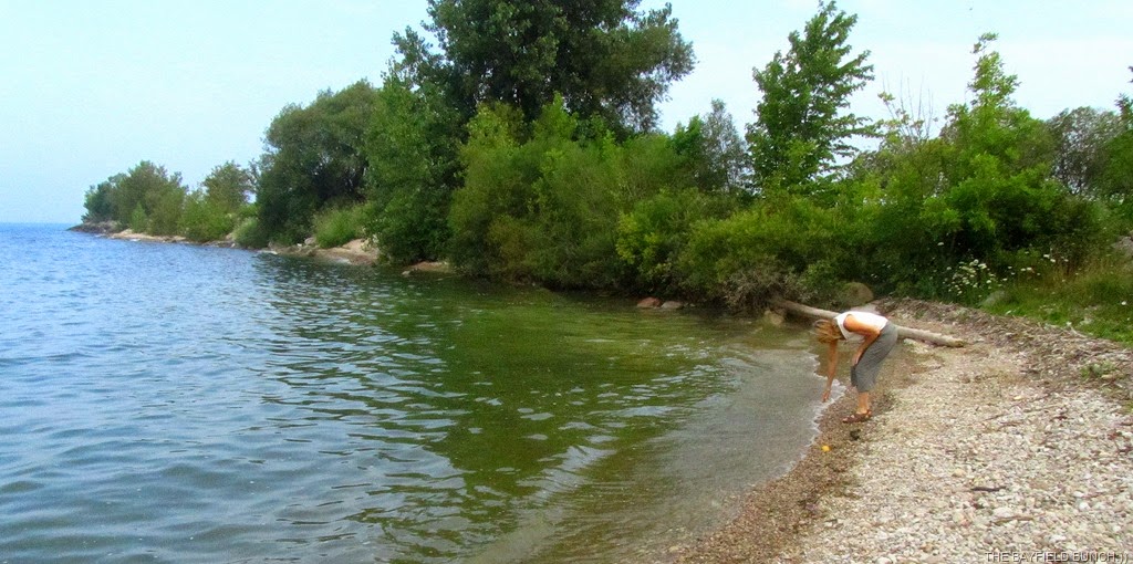 [IMG_1543%255B4%255D.jpg]