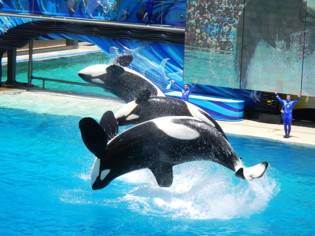 [DSCN4544%2520-%2520Kopie%255B4%255D.jpg]