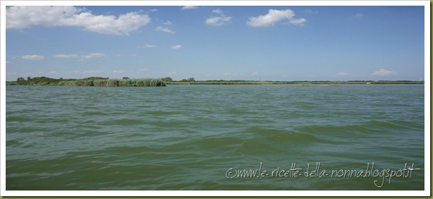 Gita sul Po' in barca - 7 agosto 2012 (42)