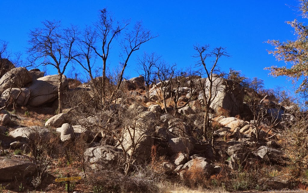 [DSC_0002%255B4%255D.jpg]