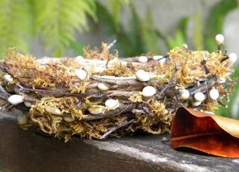 DIY craft for fall - How to make a moss nest 