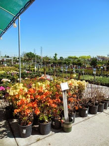 DSCN0092 DSCN0092