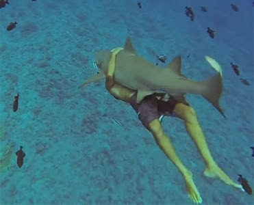 Americano nada abraçado com tubarão de 2,4 metros