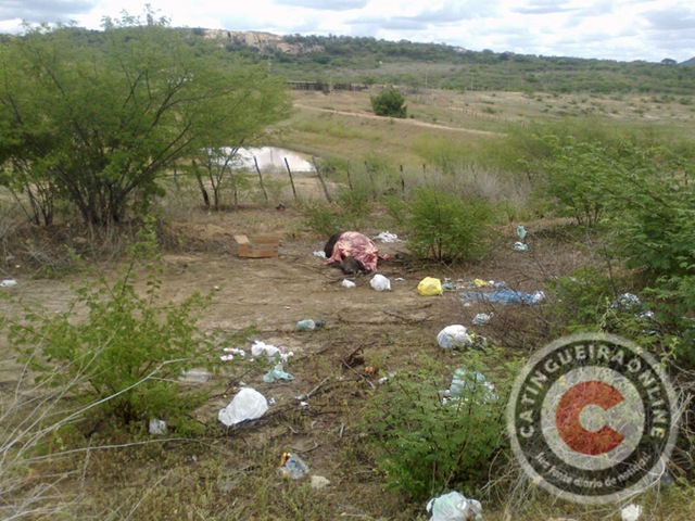 [18042012272%255B2%255D.jpg"]