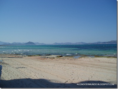 13-Bahía de Alcudia. Can Picafort - P4170164