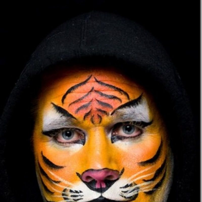 Fotos de maquillajes de tigre para disfraz