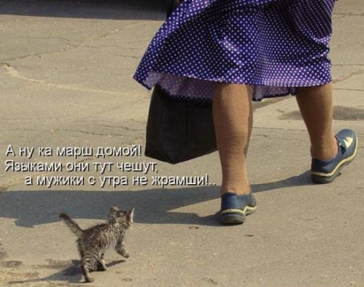 [3a6df7370364c0024bcfbbc0e38_prev%255B6%255D.jpg]