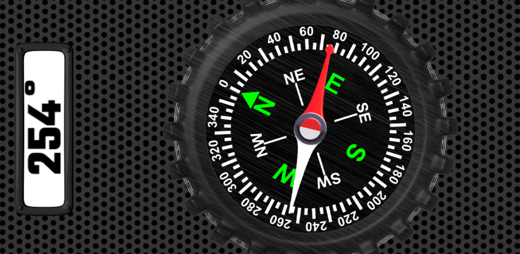Compass test. Compass test
