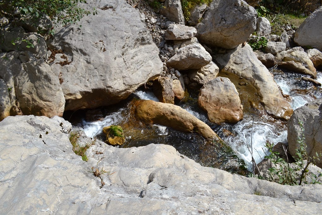 [DSC_01673.jpg]