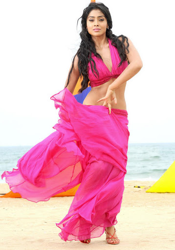 Shriya Saran in Hot Pink Dress