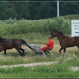 und natürlich auch Pferde auf der Trabrennbahn