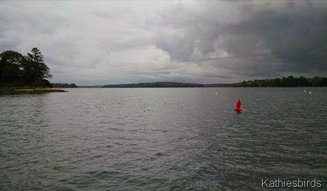 10-21-14 stormy skies at mere point