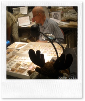 Natural History Museum - #6 - Fossil Lab 
