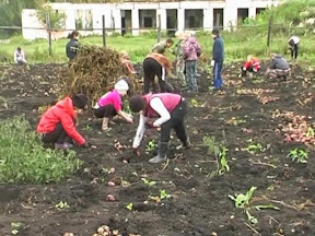 Богатый урожай