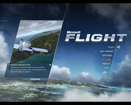 Microsoft Flight-00