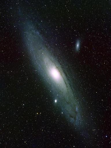 Ascw13942