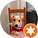 Image Google de Bruno Toutain