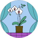 Image Google de laure delamare