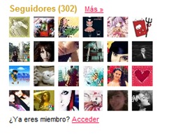 300 seguidores