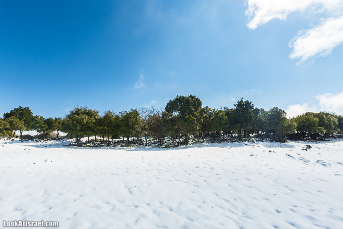 LookAtIsrael.com | Снег в Израиле, Голанские высоты и Галилея | Snow in Israel, Golan Heights and Galilee | שלג בישראל, רמת הגולן וגליל