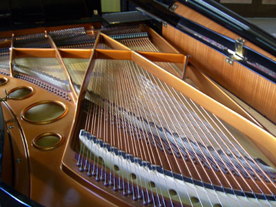 Bosendorfer on G  Rsel Arama  Bosendorfer