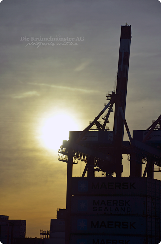 Bremerhavenrundfahrt 261113 (12)