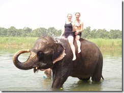 1.1276122366.elephant-bath 1.1276122366.elephant-bath